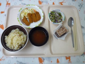 P1050841